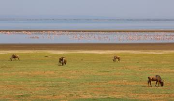 Circuito Safari de acampada de 6 días y 5 noches