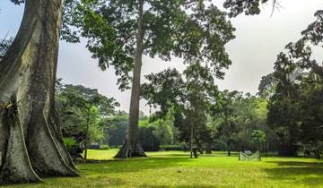 Circuito JARDINES BOTÁNICOS DE ABURI Y CASCADAS DE OBOADAKA