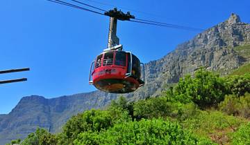 Circuito 3 Días;Excursión Privada a Ciudad del Cabo, Paseo en Coche por la Montaña de la Mesa y Escapada a la Isla Robben,Ciudad del Cabo - Noche en la Reserva de Caza Safari Inverdoorn