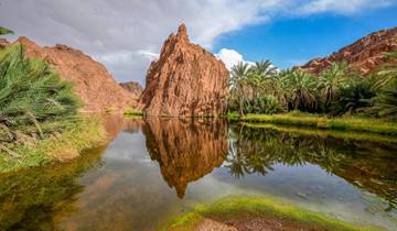 Westküste und Norden von KSA - DEC 2025