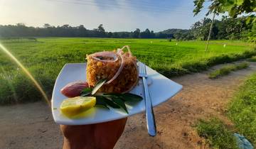 Circuito Gran Viaje de Descubrimiento de Sri Lanka - 10 Días