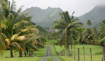 Circuito Descubrimiento de las Islas Cook - 11 días
