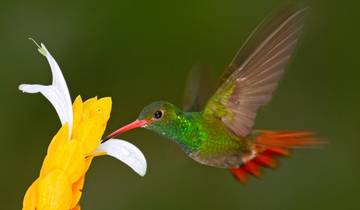 Totally Ecuador - 9 days Tour