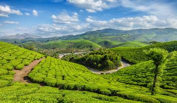 Ontdekkingstocht door Kerala (5 sterren) - 10 dagen-rondreis