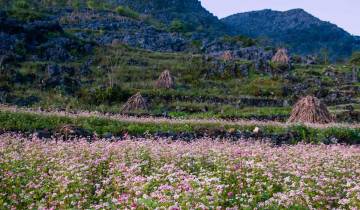 Ha Giang, Cao Bang & Ba Be Tour - 8 Tage 7 Nächte Private Tour Rundreise