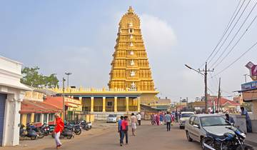 Circuito Delicias de Karnataka: 1 noche en Bangalore, 1 noche en Mysore y 2 noches en Coorg