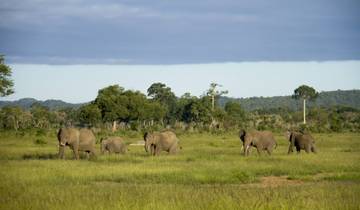 Circuito Excursión en avión de un día al Parque Nacional de Mikumi en Zanzíbar