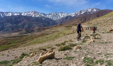 Adventure & Adrenaline