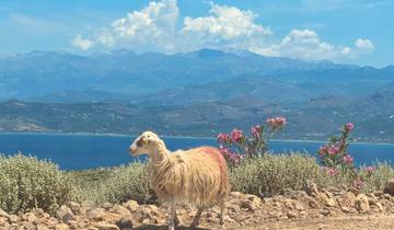 Kreta: 8-daagse rondreis met de auto – Minoïsche ruïnes, stranden en Venetiaanse stadjes