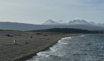 5-daagse Ushuaia Pinguïn Seizoen Tour (van oktober tot maart)-rondreis