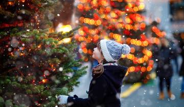 Circuito Navidad en el Danubio con un Crucero de 6 noches por el Danubio (Viena a Wurzburgo) (2027) (Reverso)