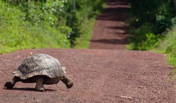 Escapada de 6 días a las Galápagos: Caminos de los Volcanes y Encuentros con la Fauna
