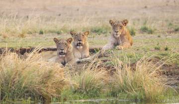 Zambezi Highlights Itinerary: Victoria Falls, Safari, and Zambezi River Cruise 3-Day