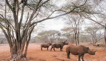 14 Tage Tansania Safari Reiseroute Rundreise