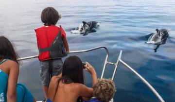 12 jours d\'escapades aux plages des Philippines (guide privé et chauffeur)Family Tour) circuit