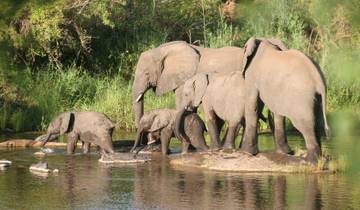 Circuits de luxe vers Afrique