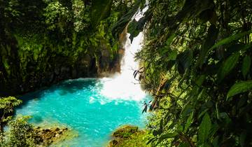 Signature : Tortuguero, Arenal et les forêts de nuages du Costa Rica
