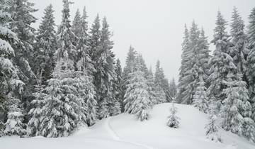 Explore Bariloche Wonders