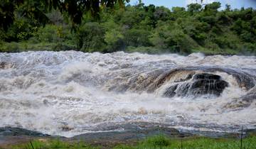 3 Daagse Safari in het Murchison Falls National Park-rondreis
