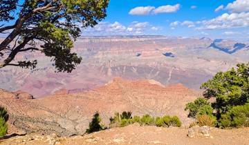 Circuito Foco en Washington, D.C. Explorando la Capital de América (2027)