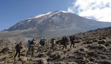Kilimanjaro über die Northern Circuit Route - 8 Tage Klettern + 2 Tage im Hotel Rundreise