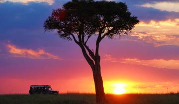 Aangepaste 13-daagse privéreis Kenia & Tanzania met strand op Zanzibar-rondreis