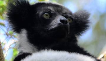 Circuito Aventura de 7 días en Madagascar con Aye-Aye y Lemures