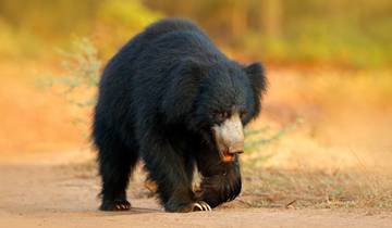 Historische Pfade in Nordindien von G Experiences Rundreise