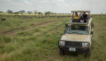 Kenya and Tanzania: Safari Adventures & Coastal East Africa Tour
