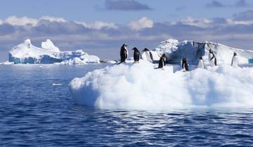 Cercle Antarctique - M/V Ocean Victory (16 destinations)