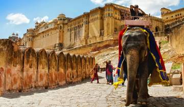 Grand India Heritage & Ranthambore Safari Trail von G Experiences Rundreise