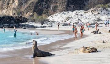 Basic Galapagos und Santa Cruz Insel