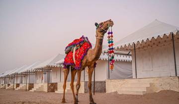 Nordindien Heritage & Wüstenwanderungen von G Experiences Rundreise