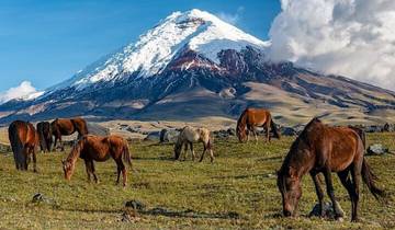 Ecuador: Quito - 4 dagen