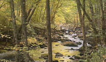 Fall in the Great Smokies (Women-Only)