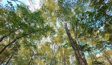 Fall in the Great Smokies (Women-Only)