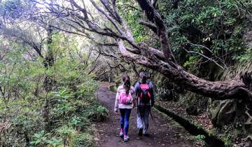 Madeira Große Wanderungen (8 Tage)