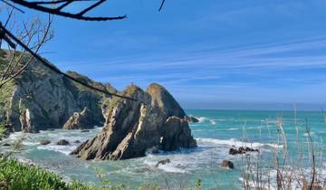 Het beste van de Rota Vicentina (14 dagen)-rondreis