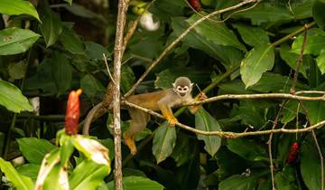 7 jours au cœur de l'Amazonie sauvage, vols compris