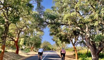 Rota Vicentina mit dem Rennrad (8 Tage) Rundreise