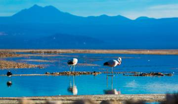 Chile Norden - Unberührte Highlights