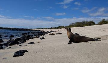 Inselhopping Galápagos 7 Tage