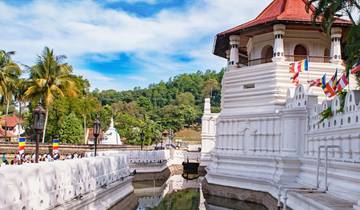 Sri Lanka Local Way Exploration - 7 days Tour