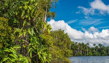 Circuito Viaje Hacienda Concepción - 3 días