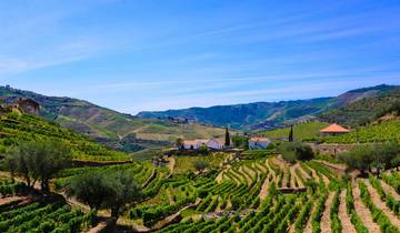 Wonders of Northern Portugal - 7 days