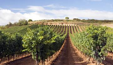 Spanje & Portugal Grand Tour (Superieur) - 15 dagen-rondreis