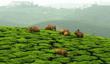 Kerala Nature Trail von G Experiences Rundreise