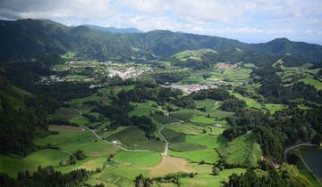Azores - dolphins and the island of São Miguel