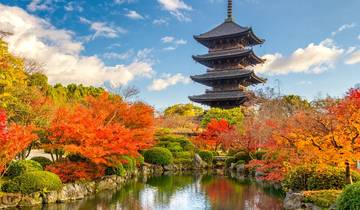 Circuito Viaje Escénico por Carretera en Automóvil con Múltiples Actividades por Japón - 8 Días