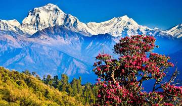 Nagarkot Sunrise Tour Shiva Statue with day hiking Tour